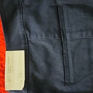 Loft Outlet Curvy Skinny Ankle Pants (Navy Blue)